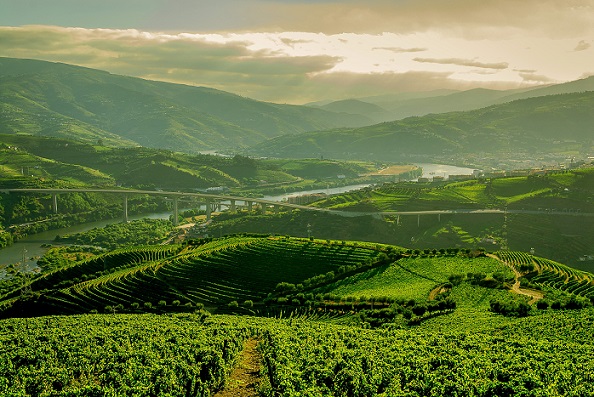 Douro quintadovallado